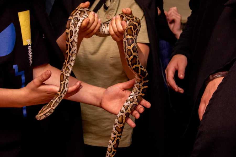 Квест в реальности Гарри от компании Активити Квест в реальности Гарри от компании Активити