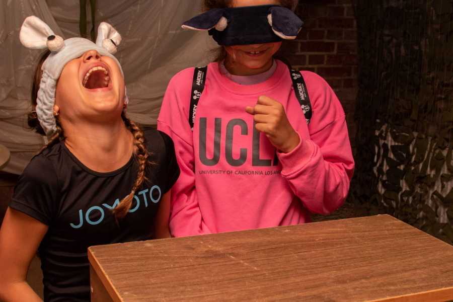 Квест в реальности Харли Квин от компании Активити Квест в реальности Харли Квин от компании Активити