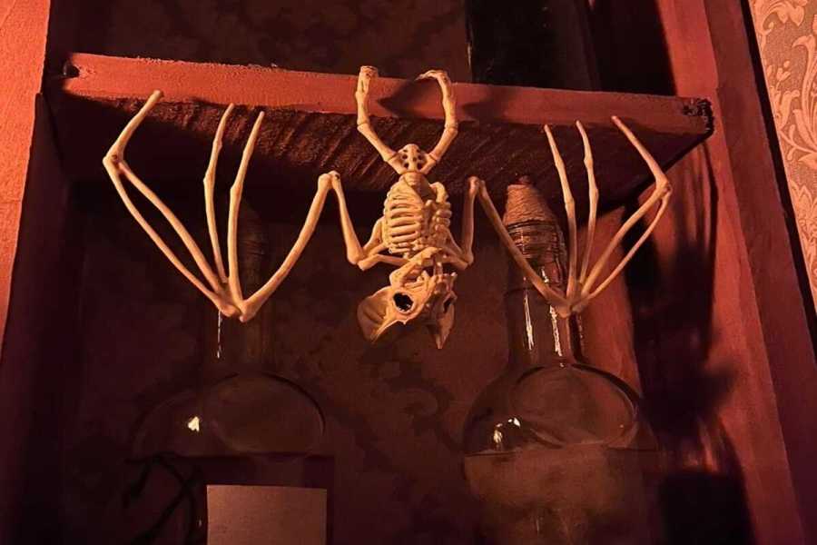 Квест в реальности Гадалка от компании Клуб квестов Квест в реальности Гадалка от компании Клуб квестов