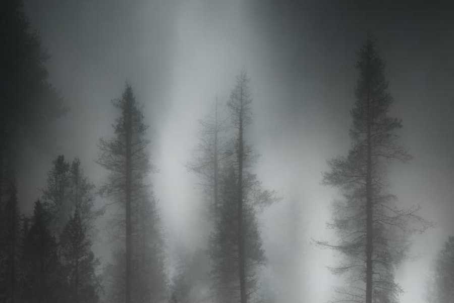 Квест в реальности Темнота от компании Склад квестов Квест в реальности Темнота от компании Склад квестов